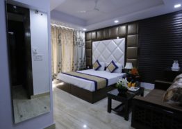 Hotel Delhi Pride - Deluxe Room