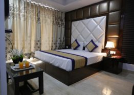 Hotel Delhi Pride - Deluxe Room