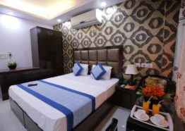 Hotel Delhi Pride - Deluxe Room