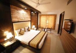 Hotel Delhi Pride -Executive Room